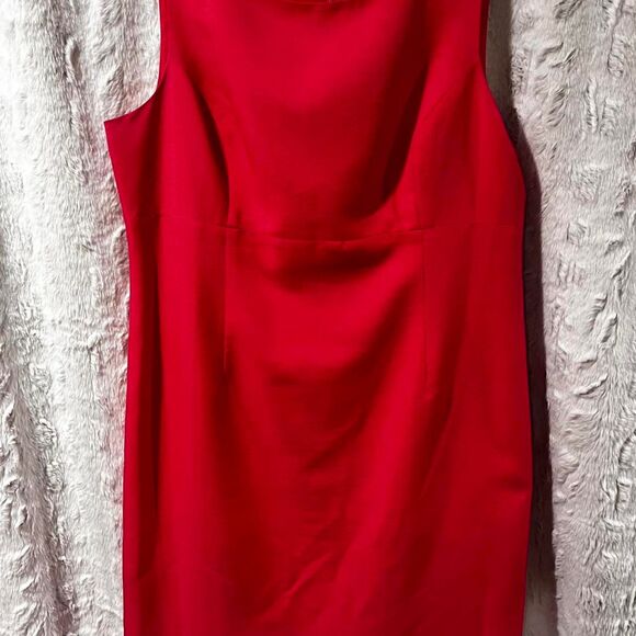 BLACK LABEL BY EVAN-PICONE Dresses & Skirts - BLACK LABEL BY EVAN-PICONE HOT PINK/RED SIZE 16 sleeveless dress